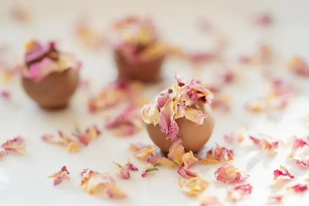 אםאואואן קזינו אפליקציית Android/iOS